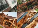 Are Colors and Patterns Used in Wooden Pergola Design Trending?
