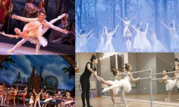 Bale: Sanatın Zarif İfadesi