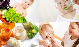 Bebekler İçin İlk Ek Gıdalar ve Hazırlık Süreci
