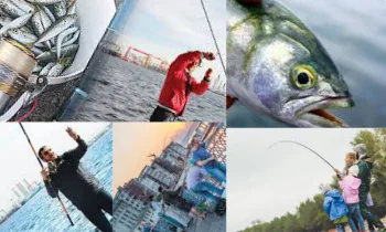 Balıkçılık Tutkusu ve Balık Avı