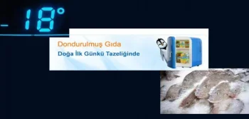 Dondurulmuş Gıdalar Nasıl Kullanılır?