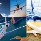 Türk Hava Yolları Yurt Dışı Uçak Bileti Kampanyaları