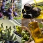 ORGANİK ZEYTİNYAĞI