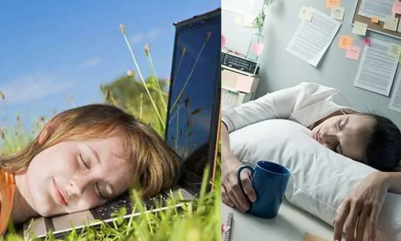 baharyorgunluğu-2-li-1