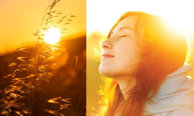 sunlight-2li